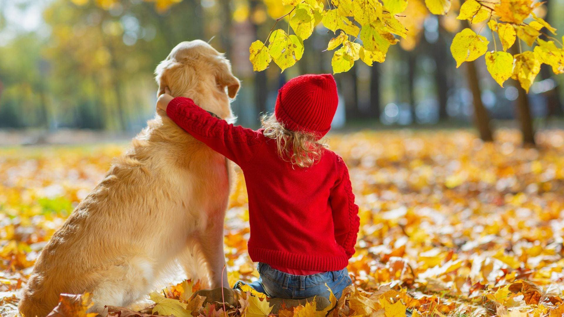 Essential change of season tips for sellers