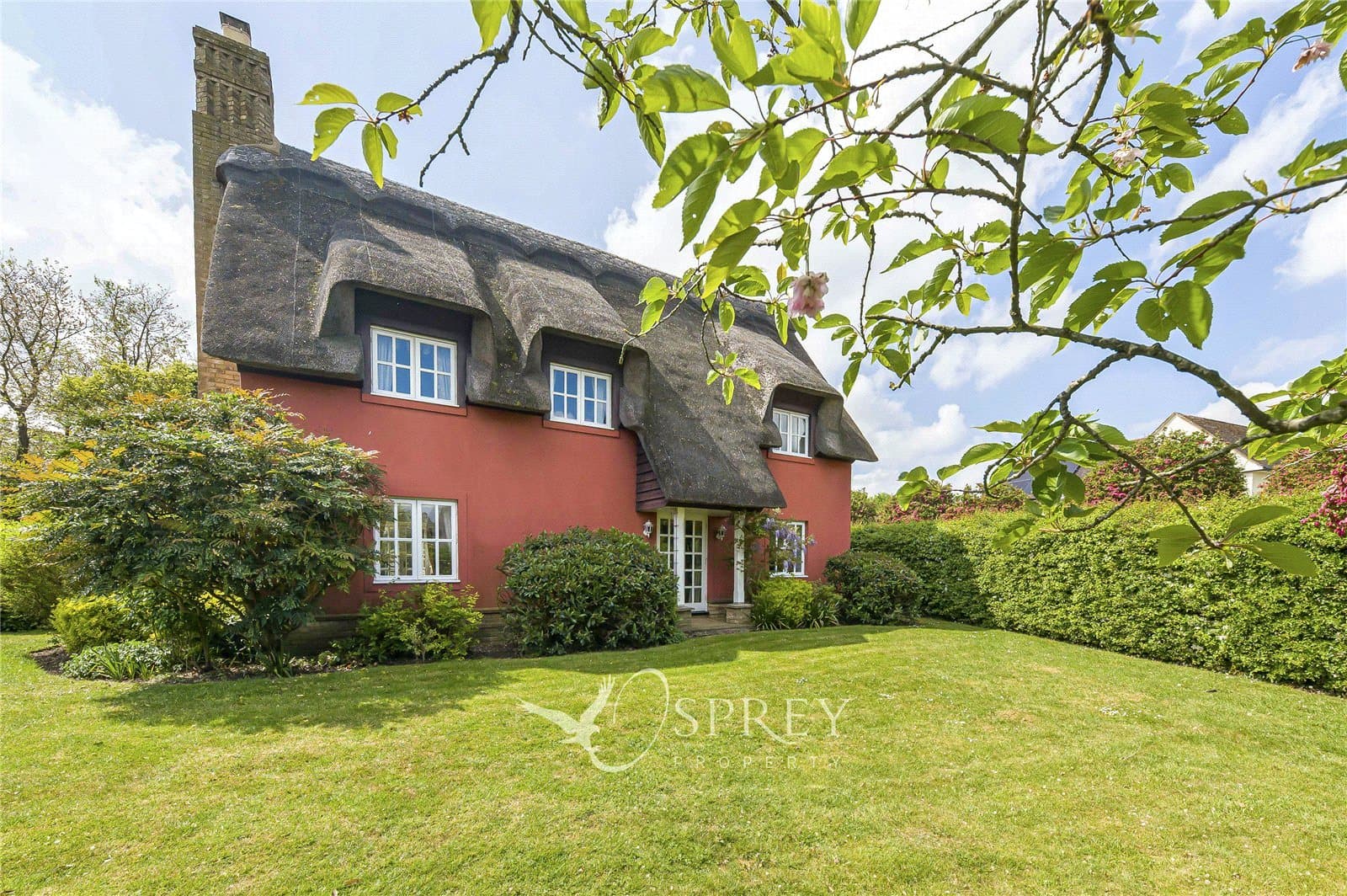 Dove House Wood, Abbots Ripton, Huntingdon, Cambridgeshire,